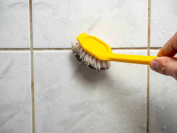 Best Commercial Mold Removal  in Gowanda, NY